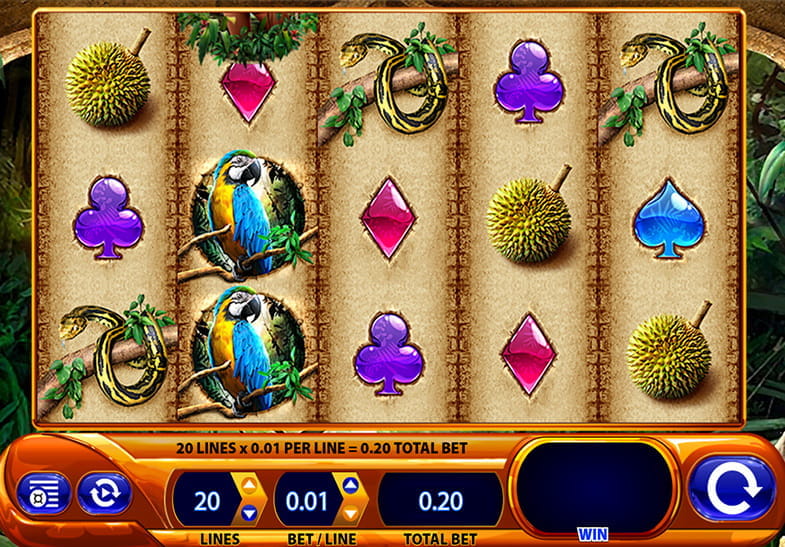 play wms slots online usa
