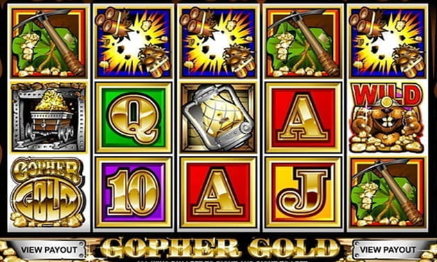 Gopher Gold Deposit